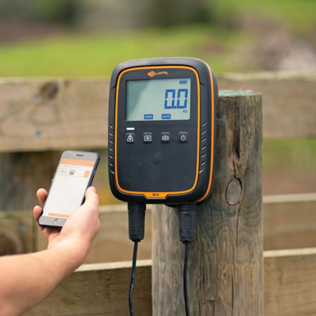 Balanza W-0 Gallagher