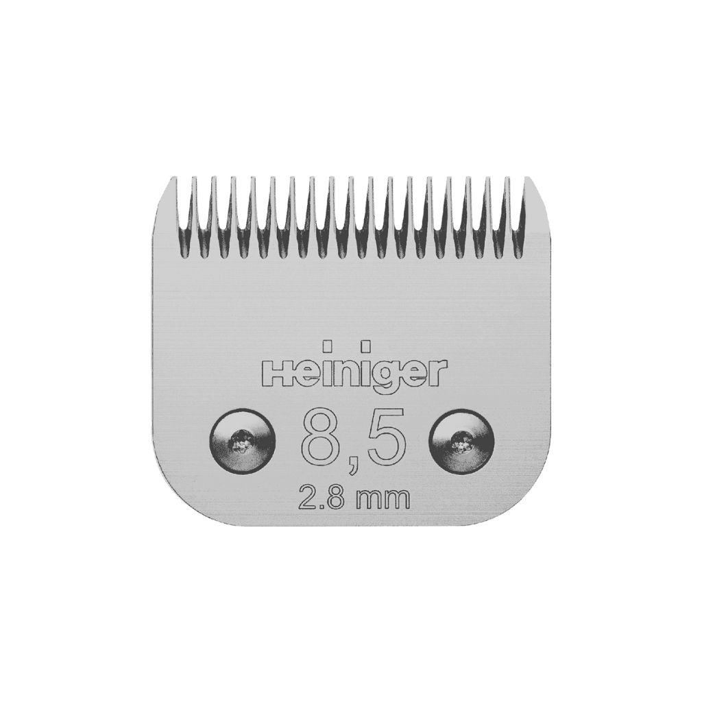 Saphir cabezal No. 8.5 / 2.8 mm